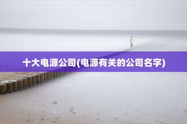 十大电源公司(电源有关的公司名字)