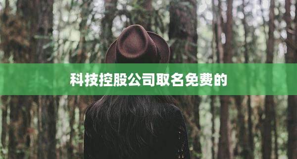 科技控股公司取名免费的