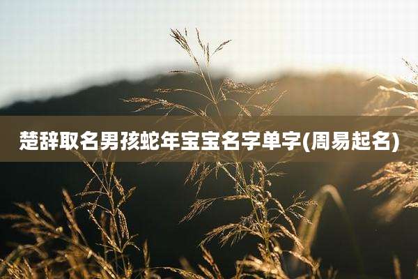 楚辞取名男孩蛇年宝宝名字单字(周易起名)