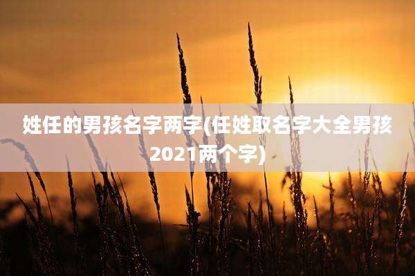 姓任的男孩名字两字(任姓取名字大全男孩2021两个字)