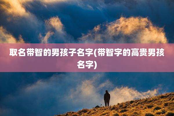 取名带智的男孩子名字(带智字的高贵男孩名字)