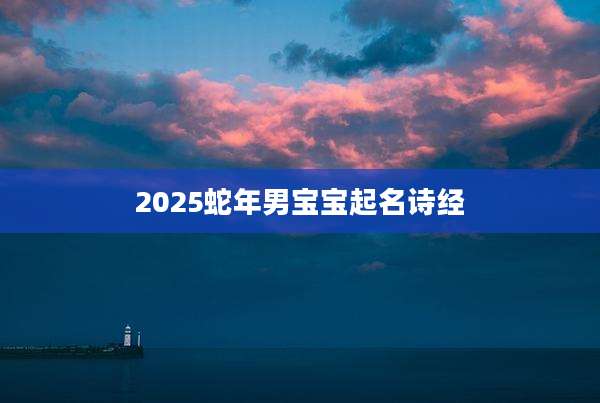 2025蛇年男宝宝起名诗经