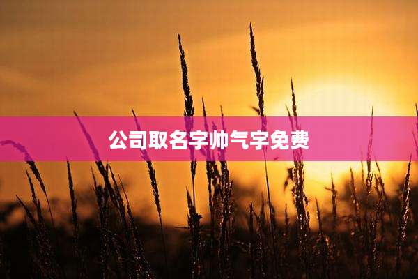 公司取名字帅气字免费
