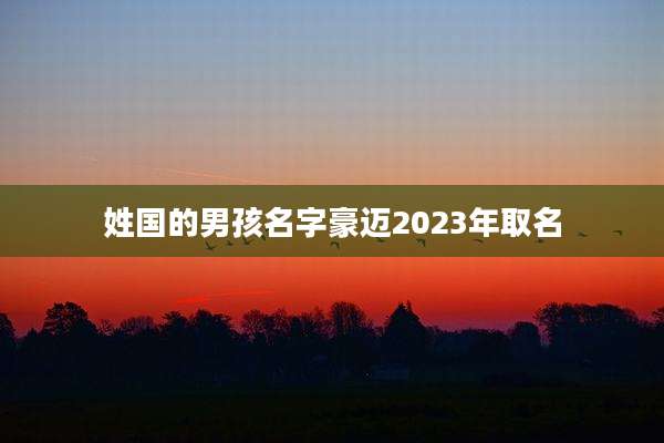 姓国的男孩名字豪迈2023年取名
