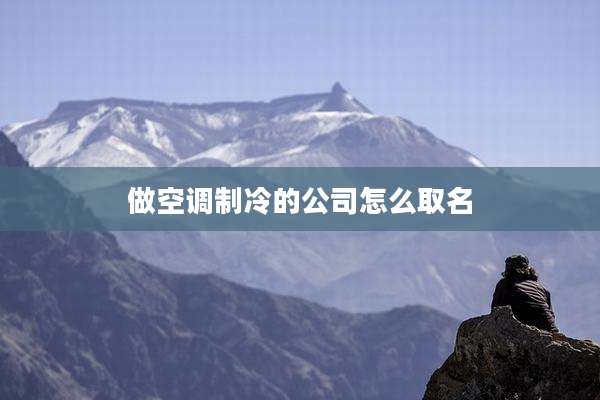 做空调制冷的公司怎么取名