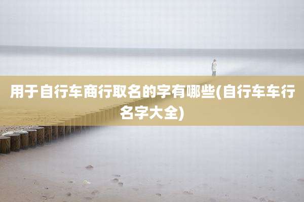 用于自行车商行取名的字有哪些(自行车车行名字大全)