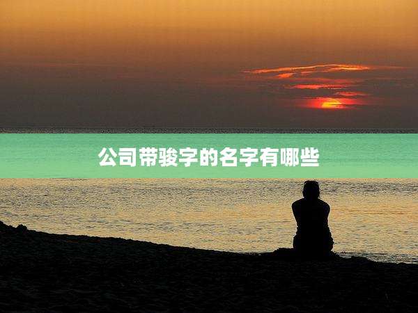 公司带骏字的名字有哪些