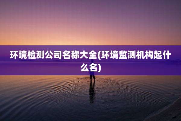 环境检测公司名称大全(环境监测机构起什么名)