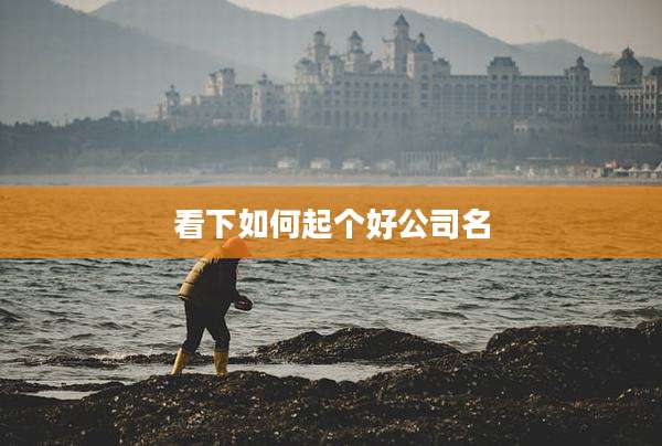 看下如何起个好公司名