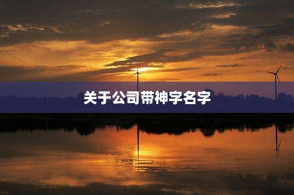 关于公司带神字名字