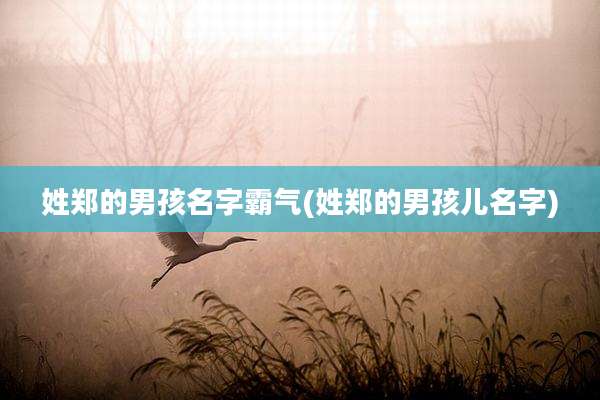 姓郑的男孩名字霸气(姓郑的男孩儿名字)