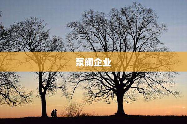 泵阀企业