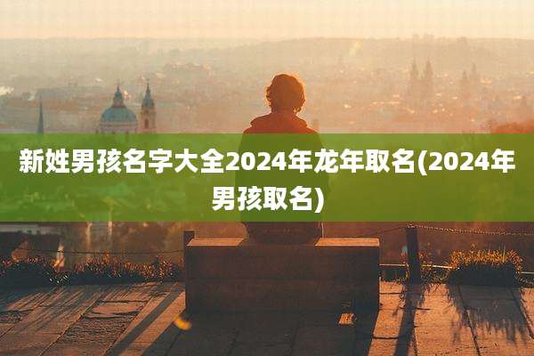 新姓男孩名字大全2024年龙年取名(2024年男孩取名)
