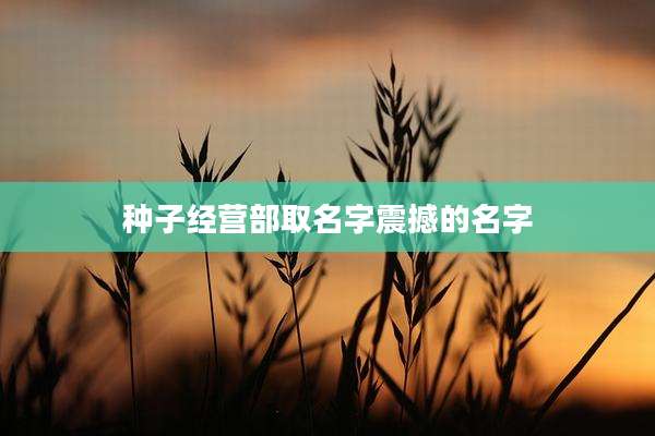 种子经营部取名字震撼的名字