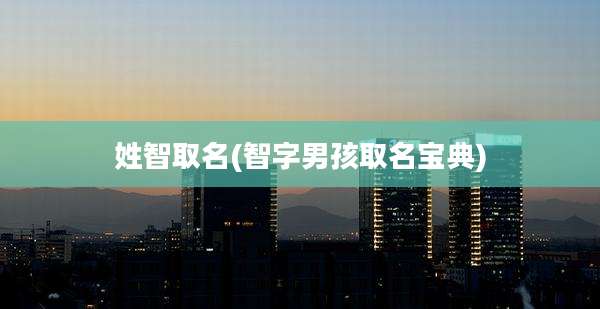 姓智取名(智字男孩取名宝典)