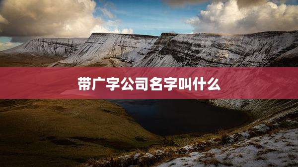 带广字公司名字叫什么