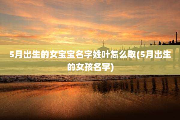 5月出生的女宝宝名字姓叶怎么取(5月出生的女孩名字)