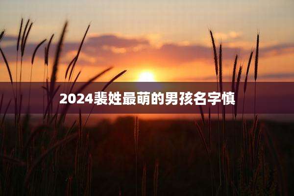 2024裴姓最萌的男孩名字慎