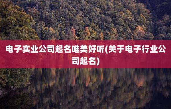 电子实业公司起名唯美好听(关于电子行业公司起名)