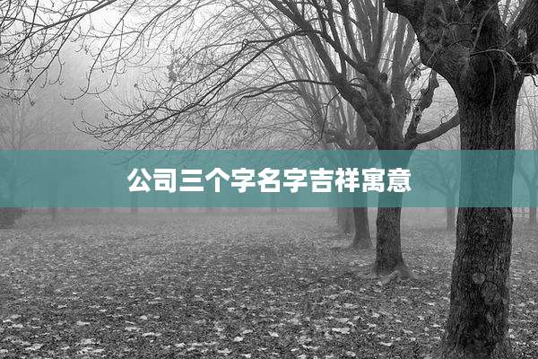 公司三个字名字吉祥寓意