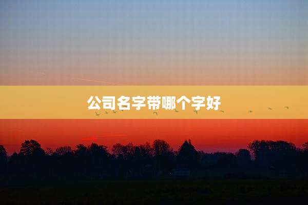 公司名字带哪个字好