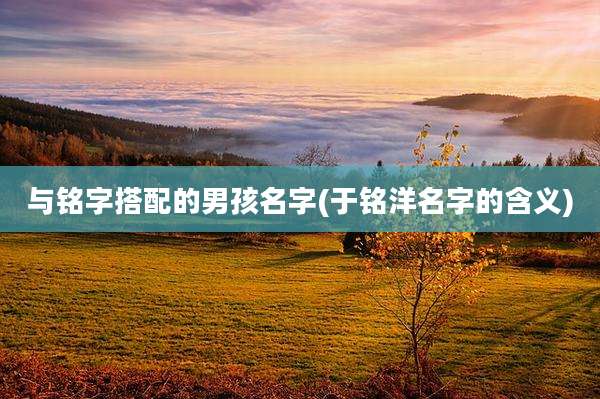 与铭字搭配的男孩名字(于铭洋名字的含义)