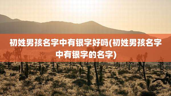 初姓男孩名字中有银字好吗(初姓男孩名字中有银字的名字)