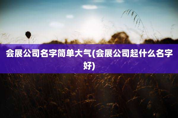 会展公司名字简单大气(会展公司起什么名字好)