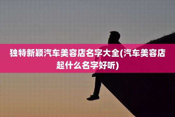 独特新颖汽车美容店名字大全(汽车美容店起什么名字好听)