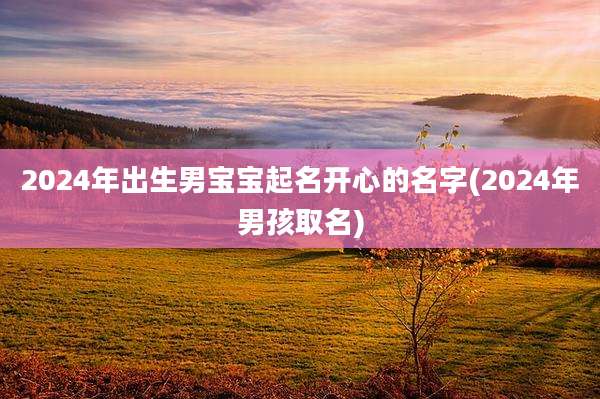 2024年出生男宝宝起名开心的名字(2024年男孩取名)