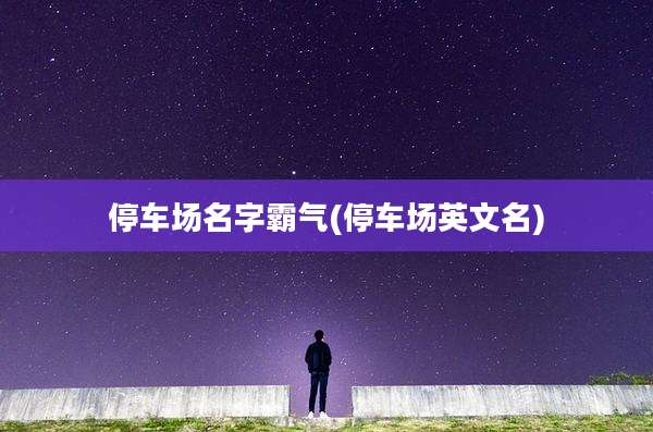 停车场名字霸气(停车场英文名)