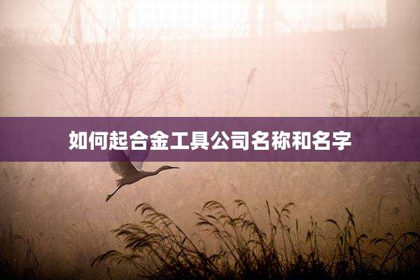 如何起合金工具公司名称和名字