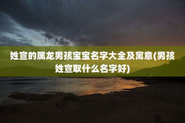 姓宣的属龙男孩宝宝名字大全及寓意(男孩姓宣取什么名字好)