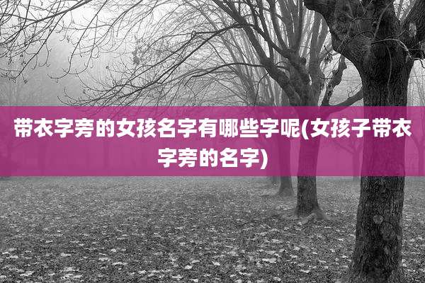 带衣字旁的女孩名字有哪些字呢(女孩子带衣字旁的名字)