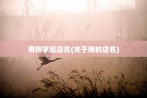 用翔字起店名(关于翔的店名)