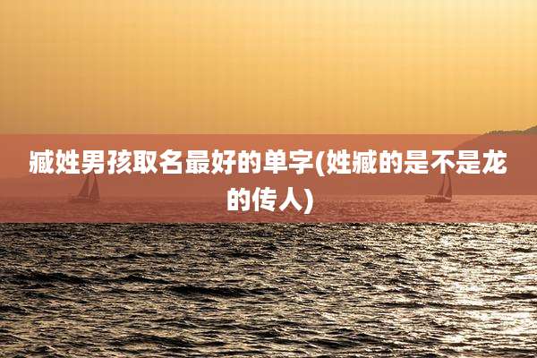 臧姓男孩取名最好的单字(姓臧的是不是龙的传人)