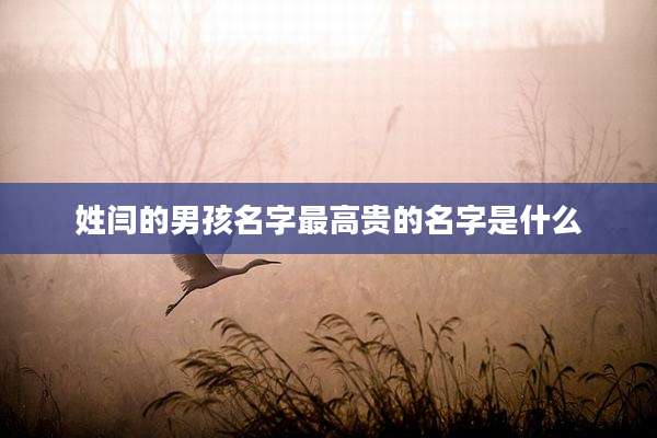 姓闫的男孩名字最高贵的名字是什么