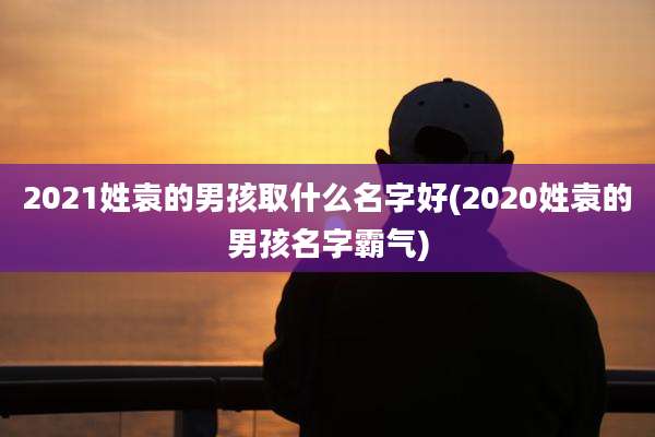 2021姓袁的男孩取什么名字好(2020姓袁的男孩名字霸气)