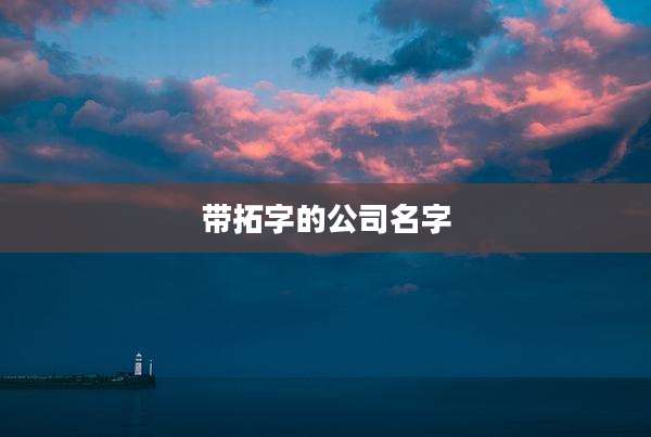 带拓字的公司名字
