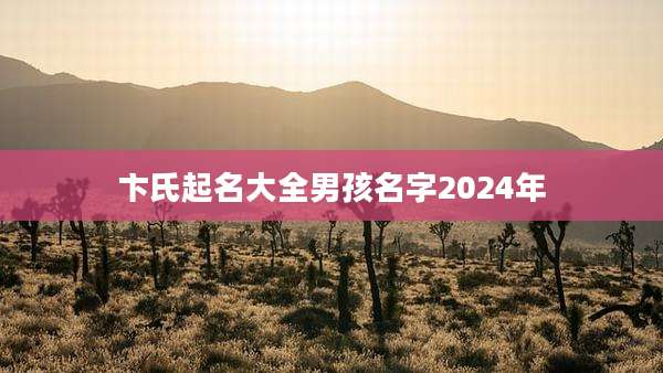 卞氏起名大全男孩名字2024年
