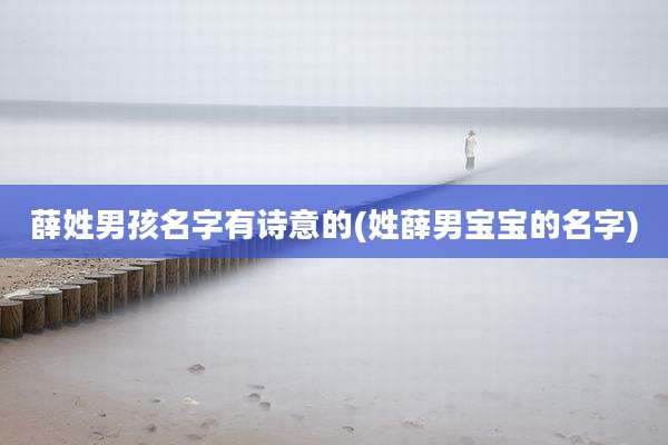 薛姓男孩名字有诗意的(姓薛男宝宝的名字)