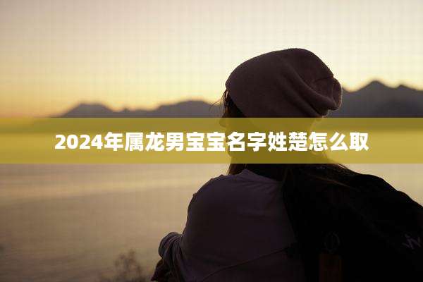 2024年属龙男宝宝名字姓楚怎么取