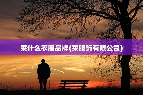 莱什么衣服品牌(莱服饰有限公司)