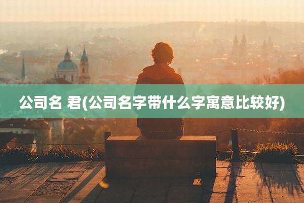 公司名 君(公司名字带什么字寓意比较好)