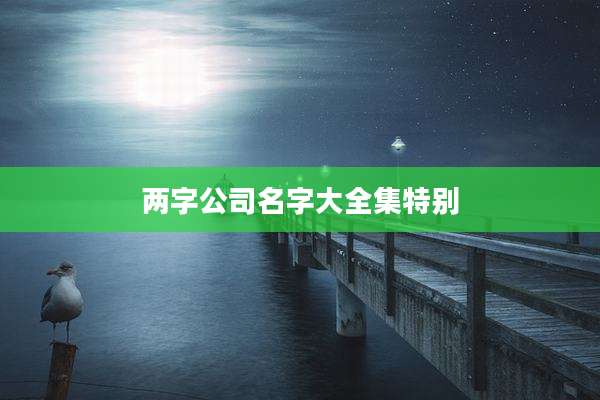 两字公司名字大全集特别
