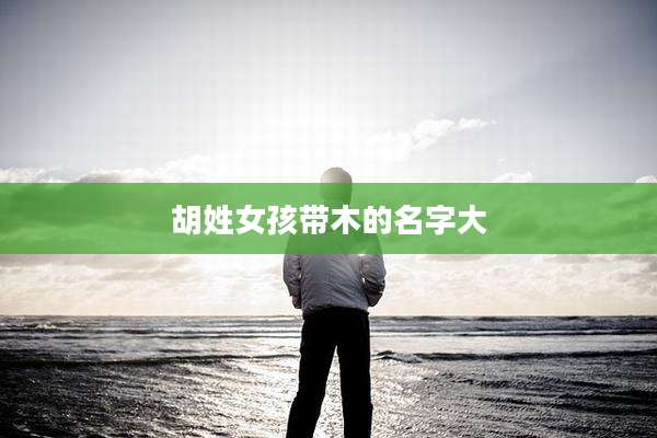胡姓女孩带木的名字大