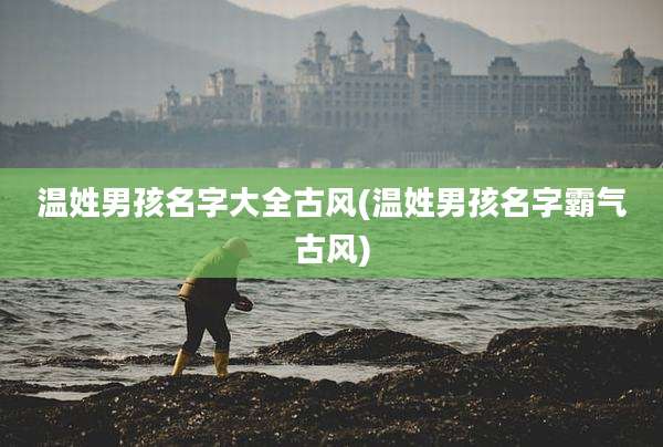温姓男孩名字大全古风(温姓男孩名字霸气古风)