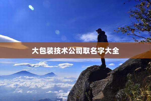 大包装技术公司取名字大全