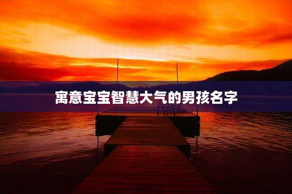 寓意宝宝智慧大气的男孩名字