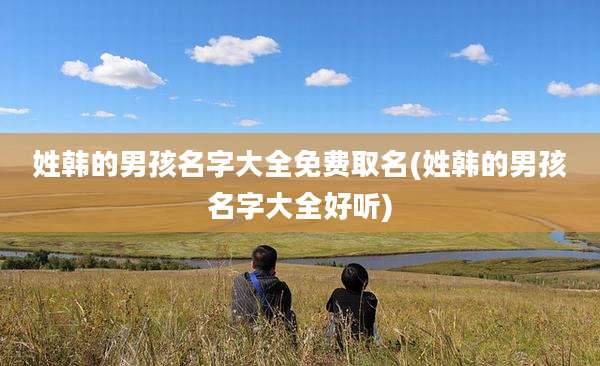 姓韩的男孩名字大全免费取名(姓韩的男孩名字大全好听)